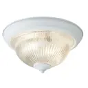 Светильник настенно-потолочный Arte Lamp Aqua 2 лампы цвет белый