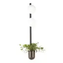 ЛТ_4681/2WA НАСТ.СВ-К 2X2X40W E14 FLOWER