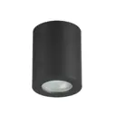 ЛТ_3572/1C НАКЛ.СВ-К 1X50W GU10 AQUANA