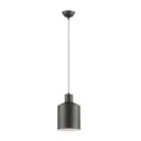 ЛТ_3659/1 ПОДВЕС 1X60W E27 RIGBY