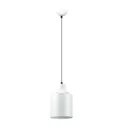 Подвес Lumion Rigby 3694/1 E27 1x60 Вт