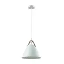 ЛТ_3720/1 ПОДВЕС 1X60W E27 DARREN