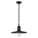 Светильник уличный  подвесной Odeon Light Furcadia 4833/1 40 Вт IP44 цвет черный
