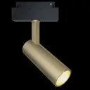 Трековый светильник Maytoni Focus LED TR019-2-10W3K-MG 13Вт 1100 встроенные светодиоды
