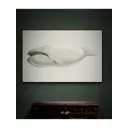 Постер ПростоПостер Южный кит 40x50 см в раме