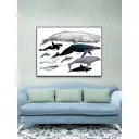 Постер ПростоПостер Разновидность китов 60x90 см в подарочном тубусе без рамы