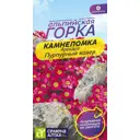 Камнеломка Арендса Пурпурный ковер цп 0.01 г
