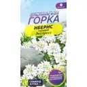 Иберис Экспресс Гиацинтовый