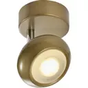 Спот поворотный Toplight Carissa 1 лампа 2 м² цвет золото