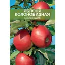 Яблоня колоновидная Созвездие ø20 h180 см