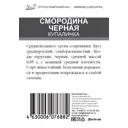 Смородина черная Купалинка ø15 h50 см