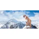 Фотообои Своя Стихия x 5 Люкс 291x136см, 6 листов