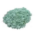 Полынь древовидная Повис Кастл h20 см