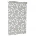 Рулонная штора Delfa Сантайм Глория Лира df-101103, 52x170 см