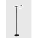 Торшер светодиодный Moderli True V4091-FL холодный белый свет цвет чёрный