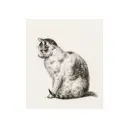 Постер Кошки - Кошка в профиль 60x90 см в раме