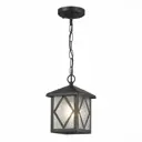 Светильник подвесной уличный ST Luce SL084.403.01 60 Вт IP44 цвет черный