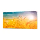 Стеновая панель Фартукофф ФФ - 167 100x60x0.15 см ПВХ цвет разноцветный