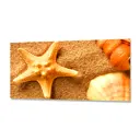 Стеновая панель Фартукофф ФФ - 188 100x60x0.15 см ПВХ цвет разноцветный