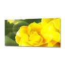 Стеновая панель матовая Фартукофф ФФ - 88 100x60x0.1 см ПВХ цвет разноцветный