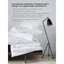 Одеяло GoodNight Organic искусственный лебяжий пух/тик 300 гр/м2 1.5 сп. 140x205