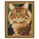 Алмазная мозаика Molly 3D с нанесенной рамкой 40x50 см Рыжий кот (20 цветов)