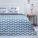 Комплект Этель Sleep покрывало 230x210 ±5 см и наволочки 50x70 - 2 шт, микрофибра