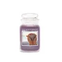 Ароматическая свеча Village Candle "Надежда", большая