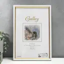 Фоторамка пластик Gallery 20x30 см 636461 белый с золотом