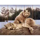 Картина по номерам Molly на дереве 30x40 см Семья островных волков (20 цветов)