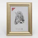 Рамка Zebra 3839384, 15x21 см, пластик, цвет золотистый