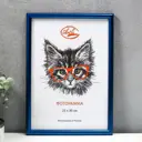 Рамка Simaland 6906950, 21x30 см, пластик, цвет синий, пластиковый экран