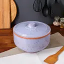 Горшок духовой "Кастрюля" фиолетовый 26x26x15 см 5 л
