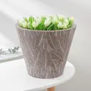 Кашпо 7521758 Simaland 10 см 5 л пластик разноцветный