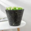 Кашпо 7521748 Simaland 10 см 5 л пластик разноцветный