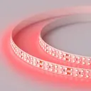 Светодиодная лента ARLIGHT 008775(B) SMD 3528 240 диод/16 Вт/м 24 В IP20 50 м красный свет