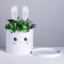 Коробка Tim-Box шляпная для цветов с доп. элементом «Белый зайка» 22x22 см