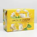 Пакет-коробка Lemon 28x20x13 см