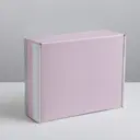 Складная коробка Lifestyle 27x9x21 см
