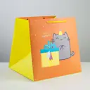 Пакет квадратный «Котик и тортик» 30x30x30 см