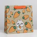 Пакет крафтовый квадратный Surprise 22x22x11 см