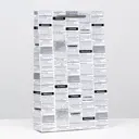 Пакет ламинированный "Газета" 40.5х24.8х9 см