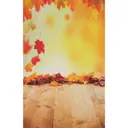 Фотофон винил "Осенний листопад" стена+пол 80x125 см