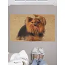 Коврик грязезащитный Joyarty door_4732 45x75 см войлок