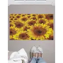 Коврик грязезащитный Joyarty door_9855 45x75 см войлок