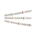Светодиодная лента Arlight 026834 SMD 4040 120 диод/12 Вт/м 24 В IP20 5 м красный свет