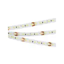 Светодиодная лента Arlight 024507 SMD 2216 240 диод/8.8 Вт/м 24 В IP20 5 м белый свет