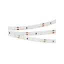 Светодиодная лента Arlight 011568(B) SMD 3528 60 диод/4 Вт/м 12 В IP20 5 м белый свет
