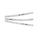 Светодиодная лента ARLIGHT 024990 SMD 3528 60 диод/4.8 Вт/м 24 В IP20 10 м теплый белый свет