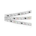Светодиодная лента ARLIGHT 026155(2) SMD 5060 60 диод/11.5 Вт/м 12 В IP67 5 м красный свет